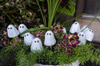 Boo-Shrooms