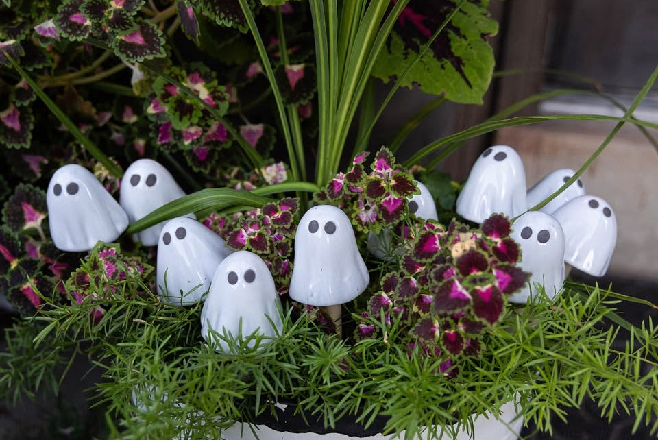 Boo-Shrooms