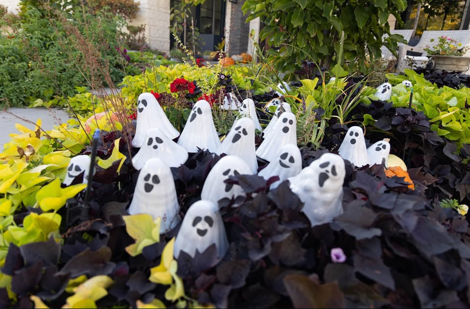 Boo-Shrooms