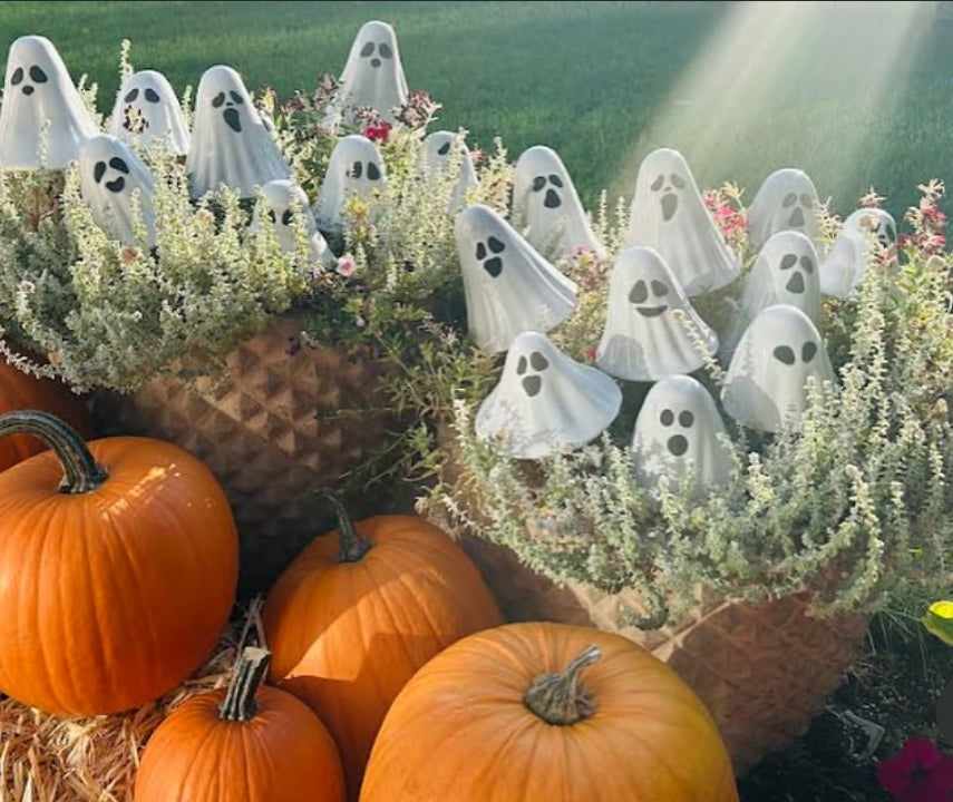 Boo-Shrooms