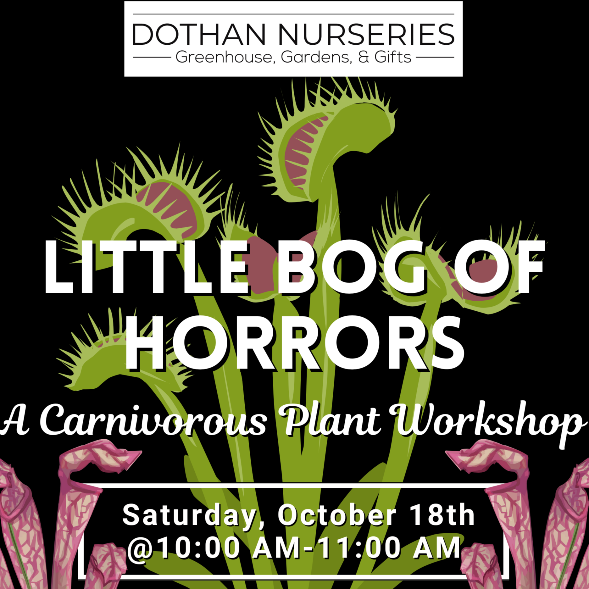 Little Bog Of Horrors Carnivorous Plant Workshop