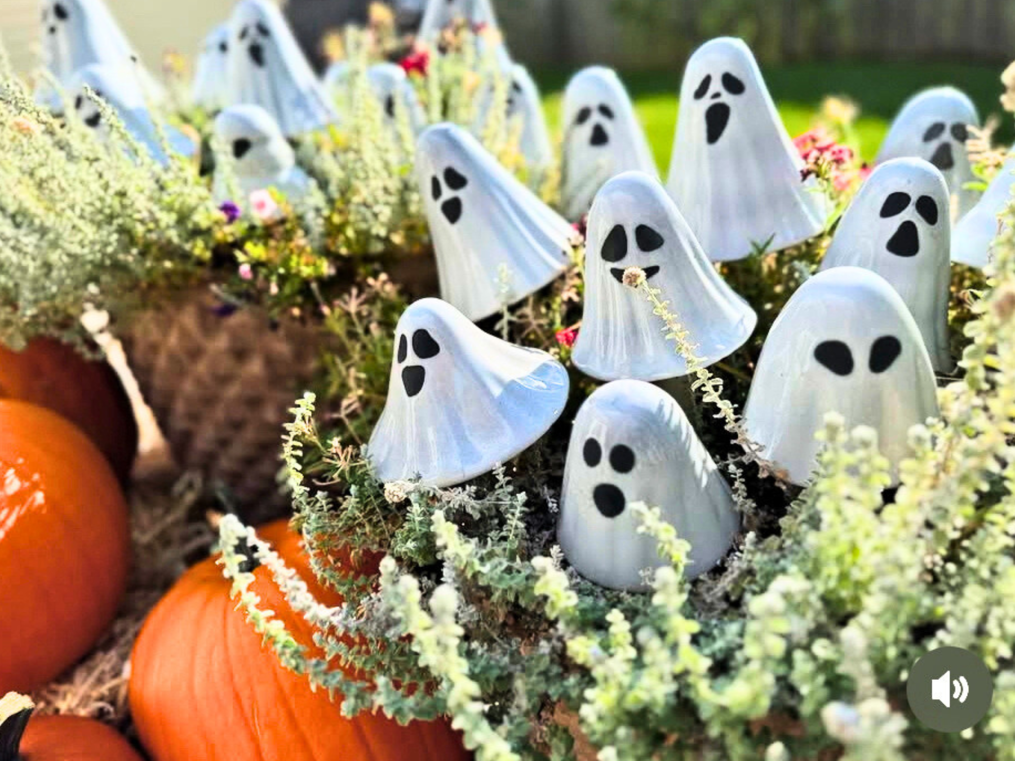 Boo-Shrooms